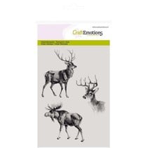 Transparent stamps, reindeer