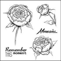 Transparent Stempel Set, "Rosen"