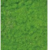 BASTELZUBEHÖR / CRAFT ACCESSORIES Velvet in polvere, di colore verde chiaro scintillante, 10ml