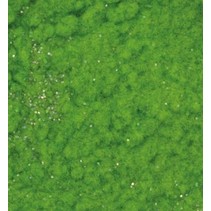 Velvet pulver, Sparkling lys grønn, 10ml