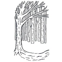 Rubber stamps, background Tree