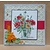 Spellbinders und Rayher Stamping and Embossing stencil, 2 Spitzedeckchen with frame patterns