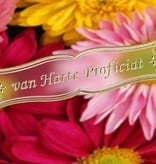 Sticker Stickers met Nederlandse tekst, 20 x 23cm, goud