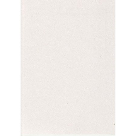 DESIGNER BLÖCKE  / DESIGNER PAPER Perlmut Satinkarton, A4