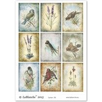 A4 vel Thema: Tuin