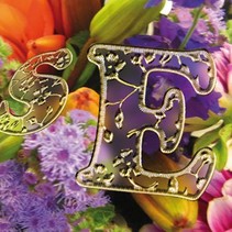 Scrapbook adesivos alfabeto, transparente a ouro