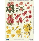 BILDER / PICTURES: Studio Light, Staf Wesenbeek, Willem Haenraets 3D Die Hojas sueltas: 3 diseños diferentes "Roses"