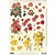 BILDER / PICTURES: Studio Light, Staf Wesenbeek, Willem Haenraets 3D Die feuille: 3 modèles différents "Roses"