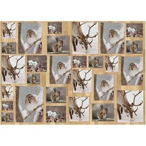 Decoupage-Papier, 25x35 cm, Oslo Nature 15, 10 Blatt