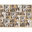 DECOUPAGE AND ACCESSOIRES Decoupage papir, 25x35 cm, Oslo Nature 15, 10 ark