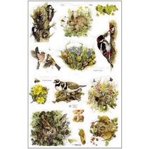 Bilderbogen, scarti, Tema: Primavera