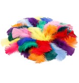 Embellishments / Verzierungen Feder in verschiedene Farbe