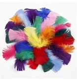 Embellishments / Verzierungen Feder in verschiedene Farbe