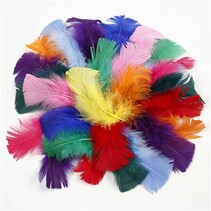 Feder in verschiedene Farbe