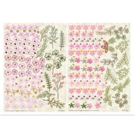 Embellishments / Verzierungen Die hojas sueltas, juego de 2 centros de flores, de color rosa