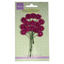 Bloem van het document, rozen, donkerroze