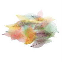 Willow Folhas de esqueleto