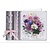 BASTELSETS / CRAFT KITS: Fiori di primavera su carta trasparente: Bastelset