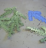 Marianne Design Marianne Design, embossing and Schneideshablone, fir branch, LR0181