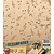 Docrafts / Papermania / Urban Designer paper, 170gr, Music