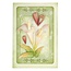 Leane Creatief - Lea'bilities Stempling og prægning stencil: Flower, Cala