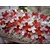 BASTELZUBEHÖR / CRAFT ACCESSORIES Olba Fiori pugno + Free Set 1 Scheda