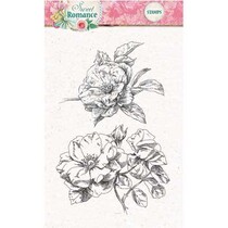 timbro trasparente: Romance dolce