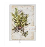 Spellbinders und Rayher Bokse og preging mal: Ferns