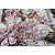 Heartfelt Creations aus USA Stempel Set + matching stempling og prægning stencil