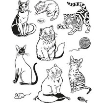 selos transparentes, gatos