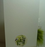 Marianne Design Marianne projeto, Bilderbogen
