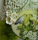 Marianne Design Marianne projeto, Bilderbogen