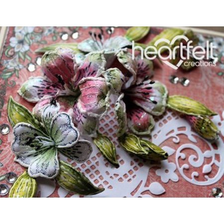 Heartfelt Creations aus USA NUOVO: punzonatura e goffratura stencil Heartfelt