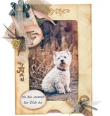 KARTEN und Zubehör / Cards 5 tarjeta deslizante + 5 sobres!