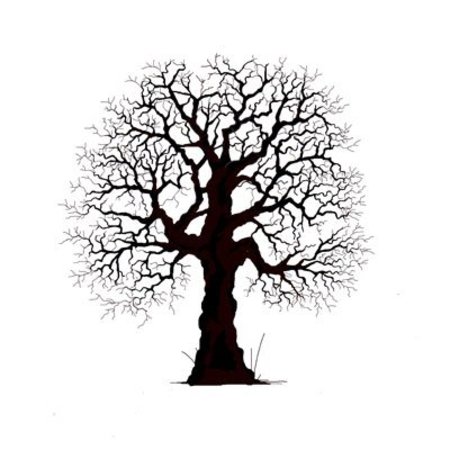 Stempel / Stamp: Transparent Transparent stamp: pretty tree