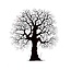 Stempel / Stamp: Transparent Transparent stamp: pretty tree
