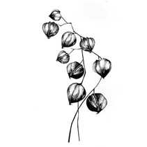 tampons transparents: fleur, plante