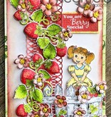 Heartfelt Creations aus USA NIEUW: Complete "Berry Cafe" Collection: 10 ARTIKEL!