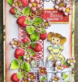 Heartfelt Creations aus USA NUOVO: Complete Collection "Berry Cafe": 10 ARTICOLO!