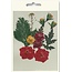 Exlusiv A set of dried and pressed flowers