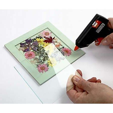 Exlusiv Um conjunto de flores secas e prensadas