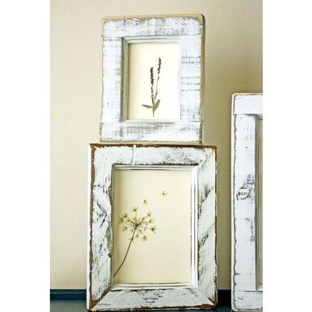 Exlusiv A set of dried and pressed flowers