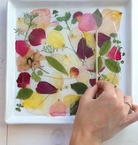 Exlusiv A set of dried and pressed flowers
