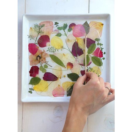 Exlusiv A set of dried and pressed flowers