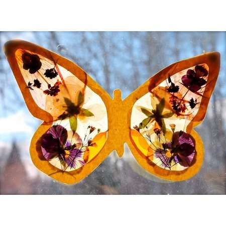 Exlusiv A set of dried and pressed flowers