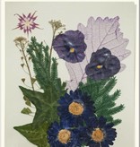 Exlusiv A set of dried and pressed flowers