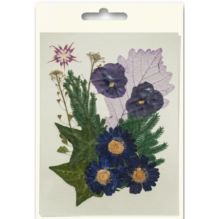 Exlusiv A set of dried and pressed flowers