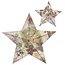 Sizzix Questo bigz, Tim legno, modelli di taglio, Star