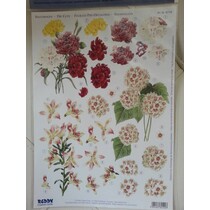 3D Die losse vellen: Rosen