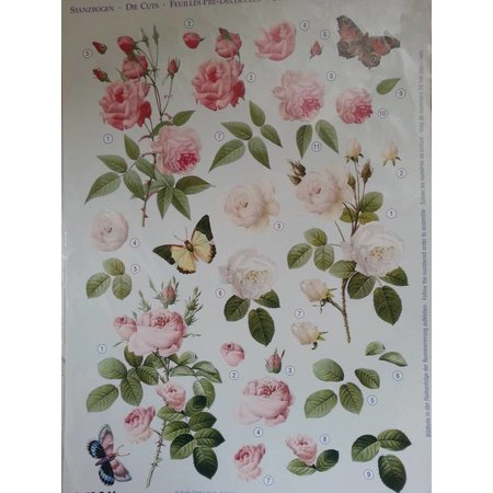 BILDER / PICTURES: Studio Light, Staf Wesenbeek, Willem Haenraets 3D fogli Die taglio: rose nostalgia